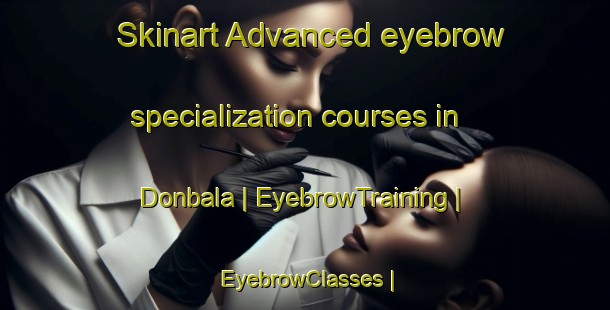 Skinart Advanced eyebrow specialization courses in Donbala | EyebrowTraining | EyebrowClasses | SkinartTraining-Mali